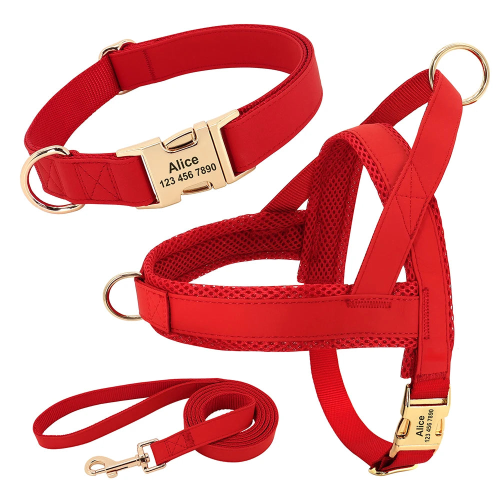 Honden Tuig & Lijn Set Gepersonaliseerd - Comfortabel & Verstelbaar