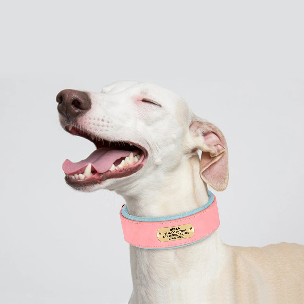 Personalisiertes Hundehalsband aus Leder – Weich, breit und bequem für Ihren großen Vierbeiner