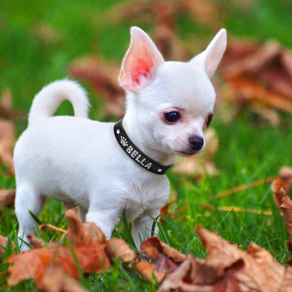 Hond Halsband Zilver Gepersonaliseerd – Hondenhalsband met Naamletters, Charms en Glinsterende Details
