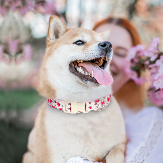 Nylon Hondenhalsband met Bloemenprint – Stijlvol en Verstelbaar