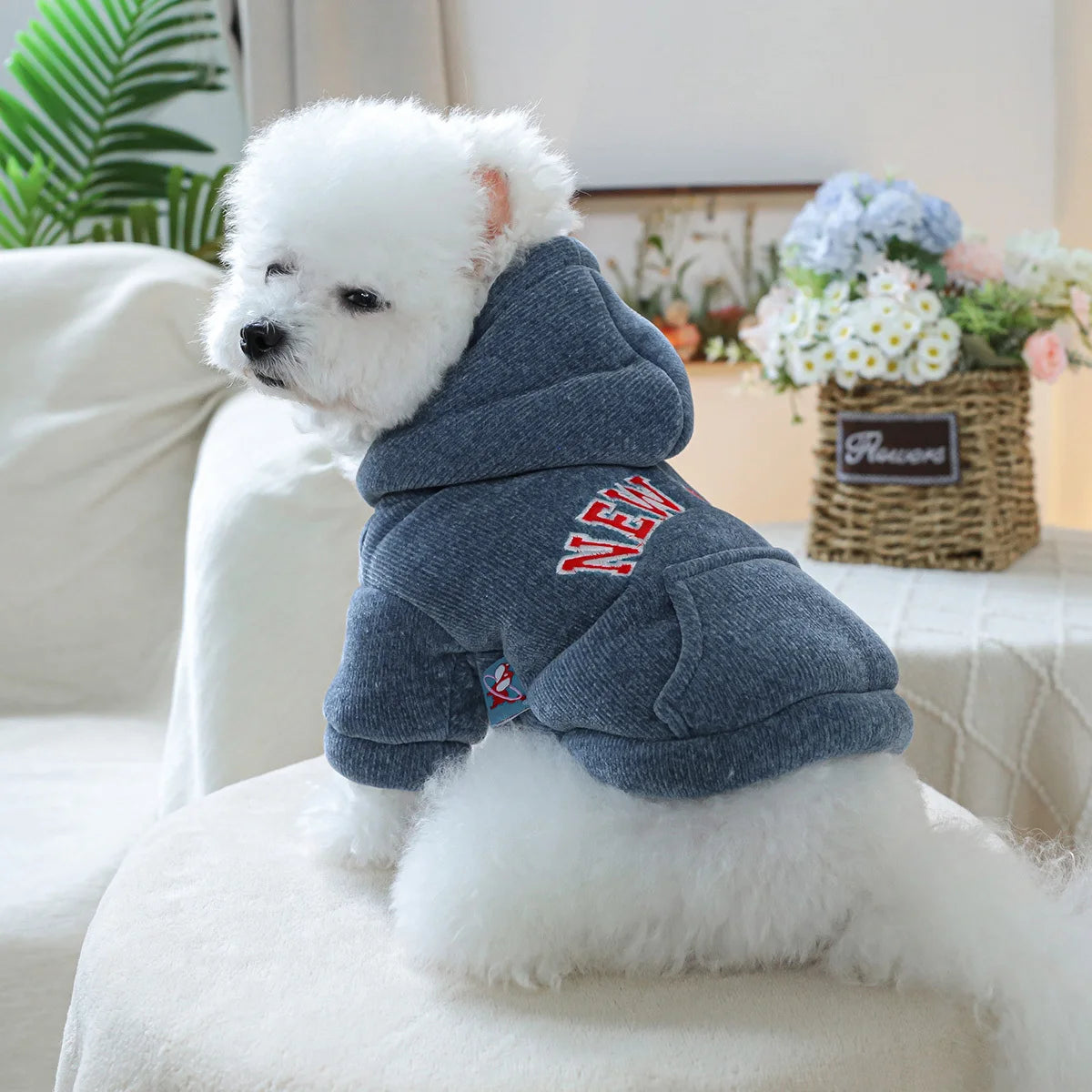 New York Hoodie