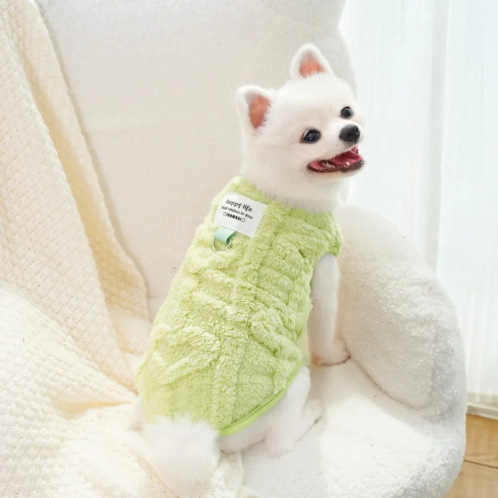 Pastel Vest
