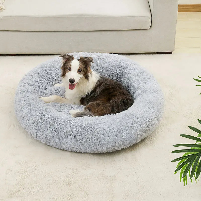 Weiches rundes Hundebett – gemütlich und bequem