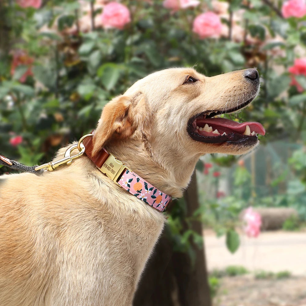 Mooie Gepersonaliseerde Halsband met Bloemenprint – Stijl en Veiligheid voor Jouw Hond