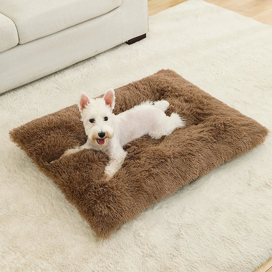 Hondenbed Zacht – Warm en Comfortabel voor Je Hond