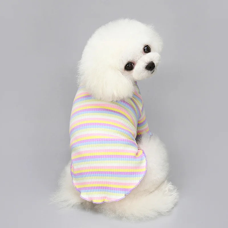 Regenbogen-T-Shirt