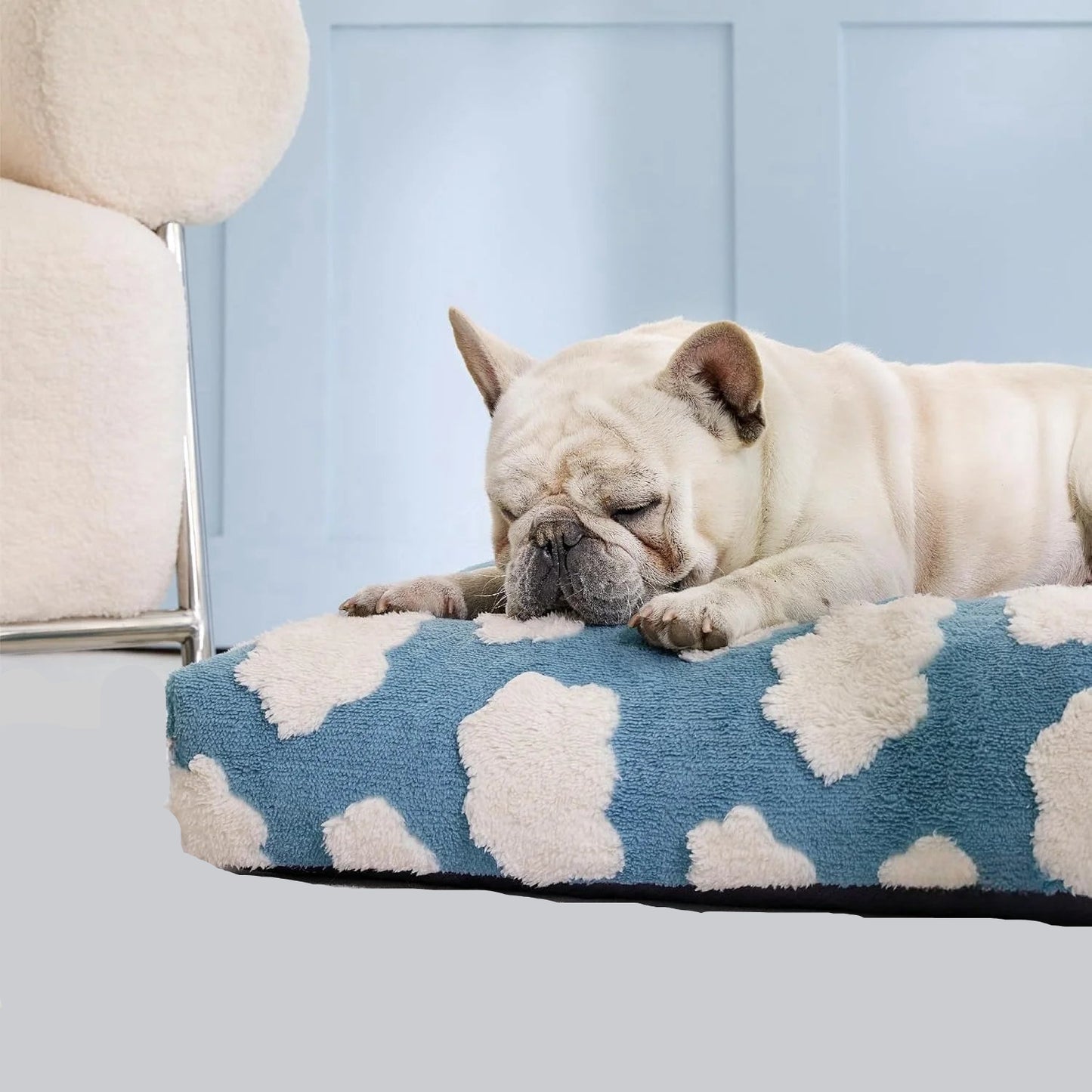 Modernes Hundebett mit Wolkendruck – weich, stützend und waschbar