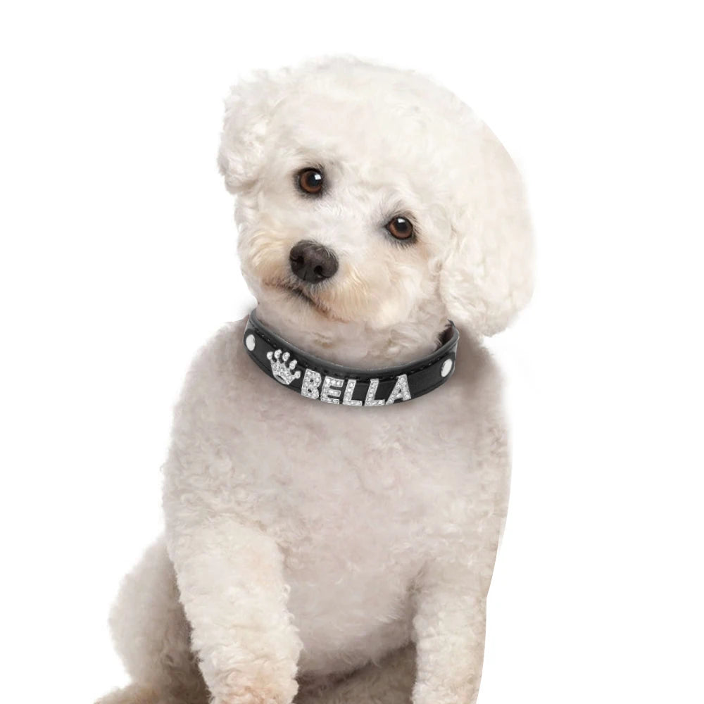 Hond Halsband Zilver Gepersonaliseerd – Hondenhalsband met Naamletters, Charms en Glinsterende Details