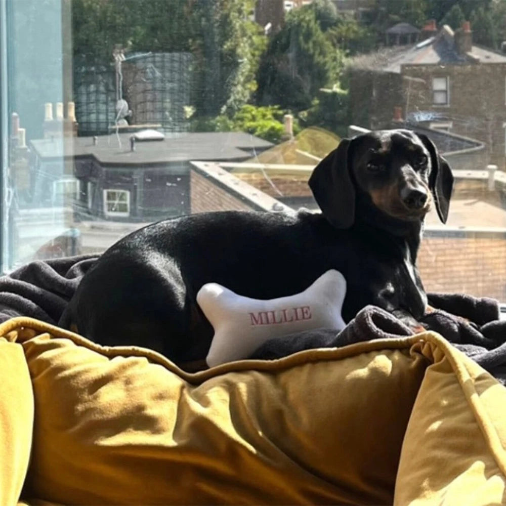 Personalisierter Spielknochen – Einzigartiger Spielspaß für Ihren Hund