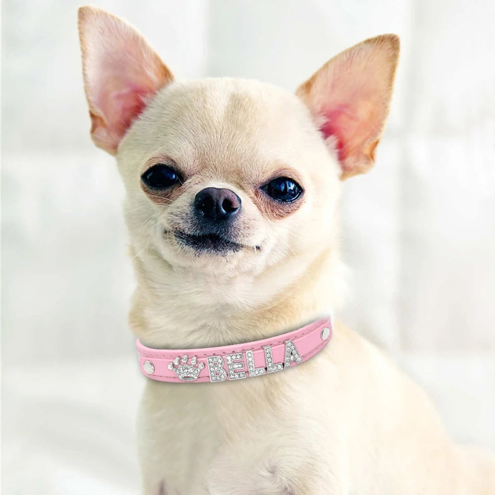 Hond Halsband Zilver Gepersonaliseerd – Hondenhalsband met Naamletters, Charms en Glinsterende Details