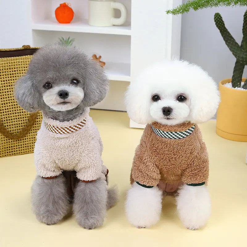 Hondenjas Teddy – Warm & Stijlvol