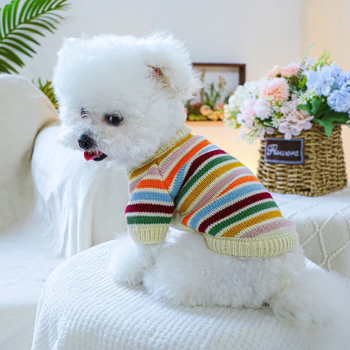 Regenboog Trui