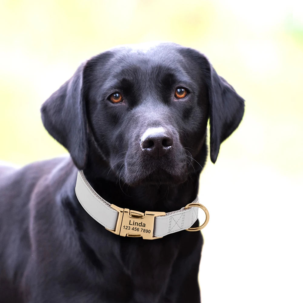 Hond Halsband Stevig – Duurzame, Verstelbare en Gepersonaliseerde Hondenhalsband met Naam
