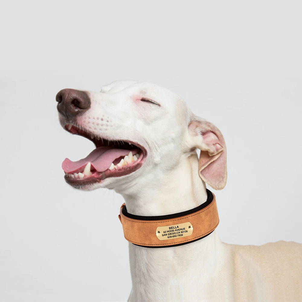 Personalisiertes Hundehalsband aus Leder – Weich, breit und bequem für Ihren großen Vierbeiner