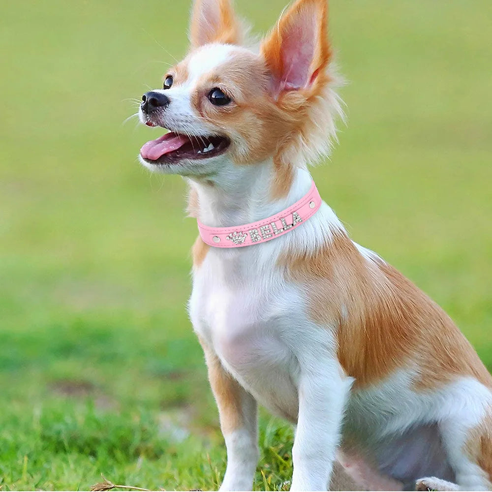 Hond Halsband Zilver Gepersonaliseerd – Hondenhalsband met Naamletters, Charms en Glinsterende Details