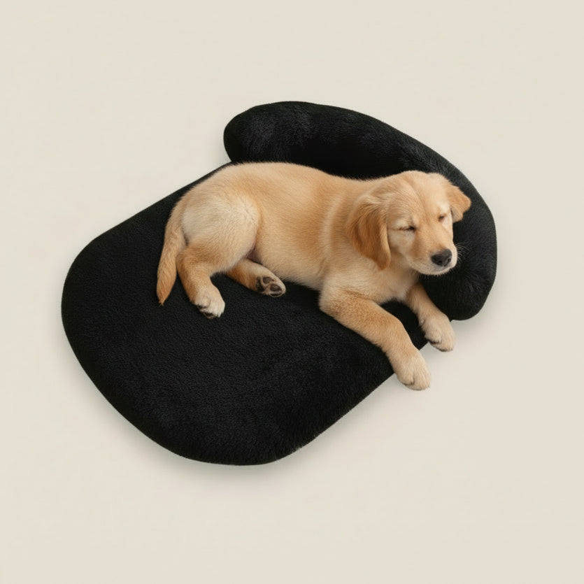 Flauschiges orthopädisches Hundebett mit Kissen – warm, stützend und waschbar