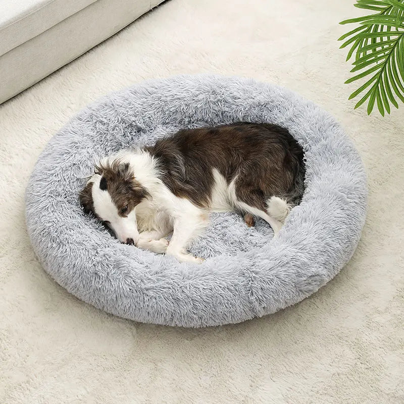 Weiches rundes Hundebett – gemütlich und bequem