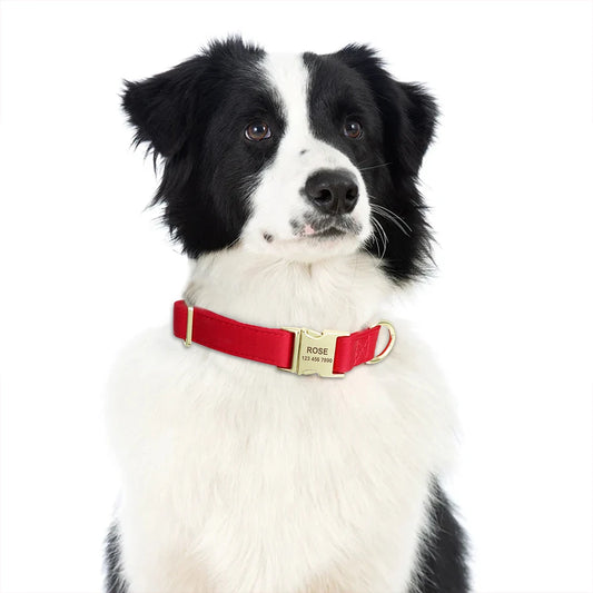 Gepersonaliseerde Velvet Halsband – Stijlvol & Veilig