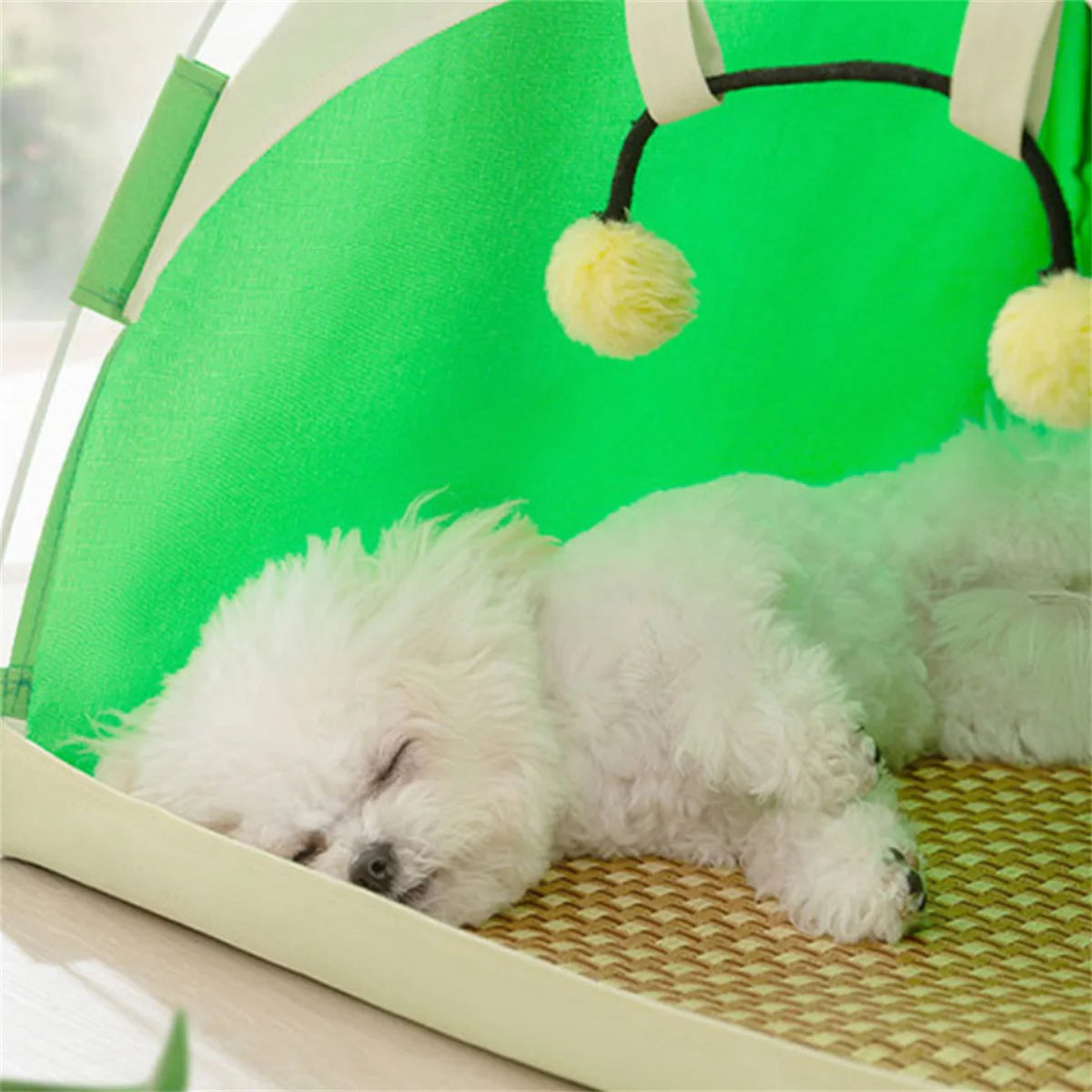 Hundetelt – Beskyt din hund med komfort og skygge