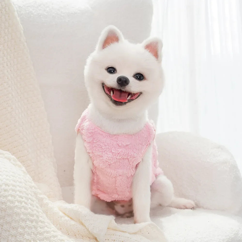 Pastel Vest