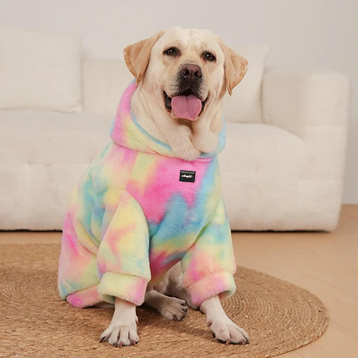 Kleurrijke Hoodie
