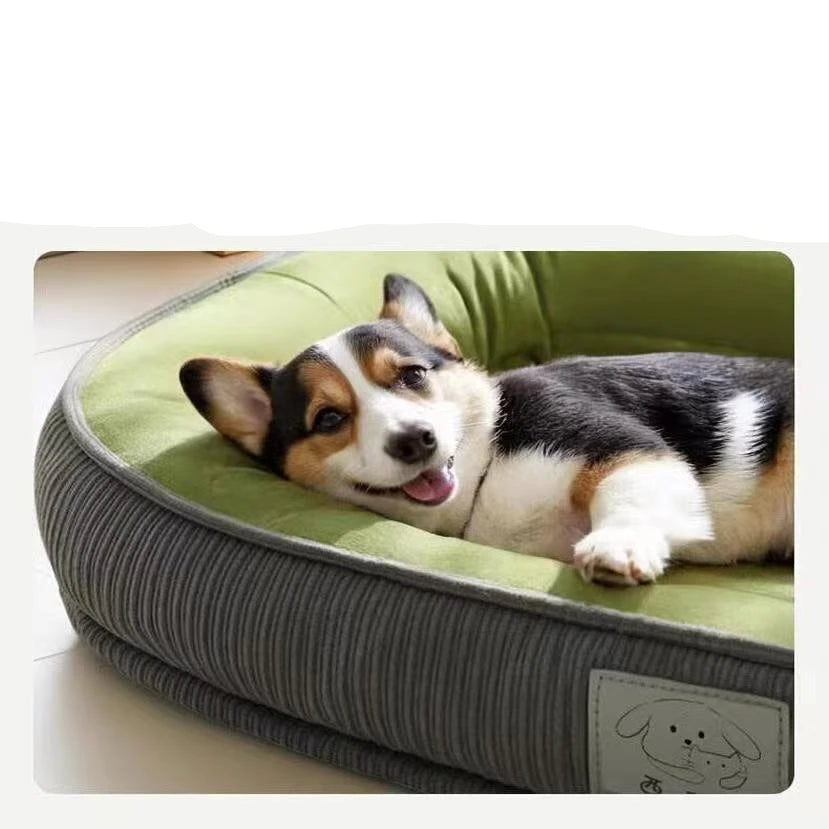 Orthopädisches Donut-Hundebett – Unterstützung für einen ruhigen Schlaf