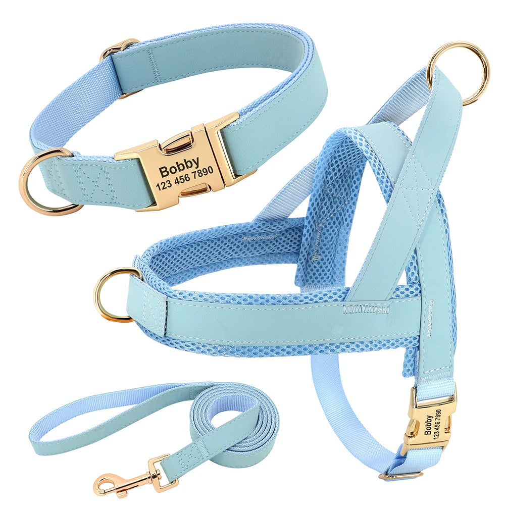 Honden Tuig & Lijn Set Gepersonaliseerd - Comfortabel & Verstelbaar