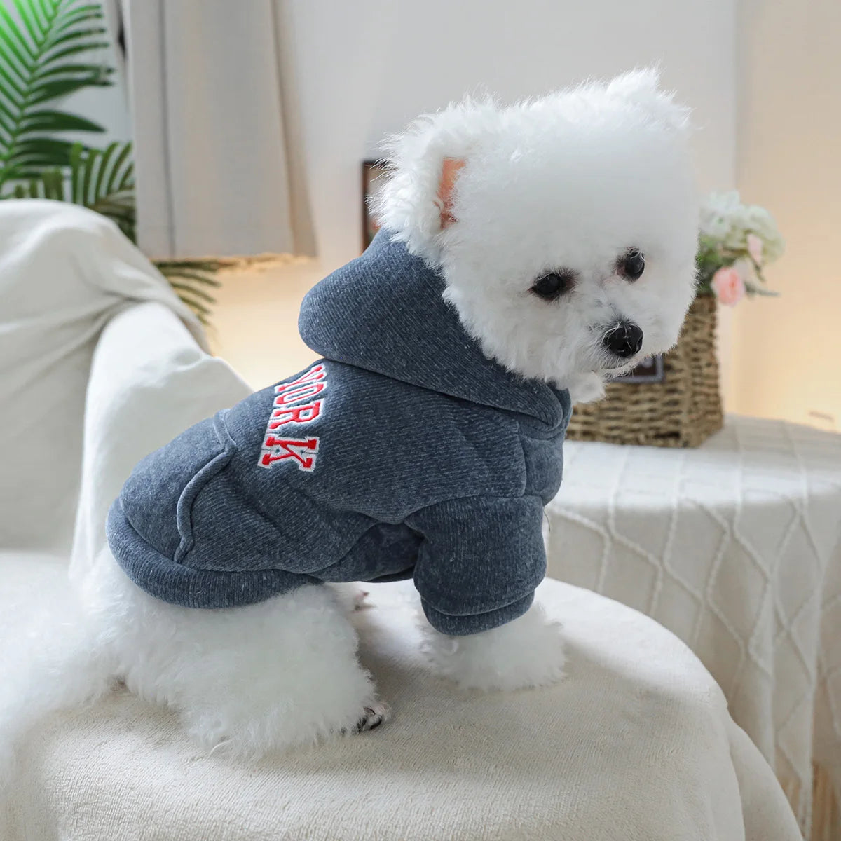 New York Hoodie
