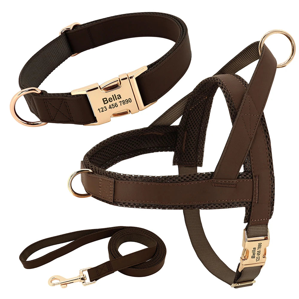 Honden Tuig & Lijn Set Gepersonaliseerd - Comfortabel & Verstelbaar