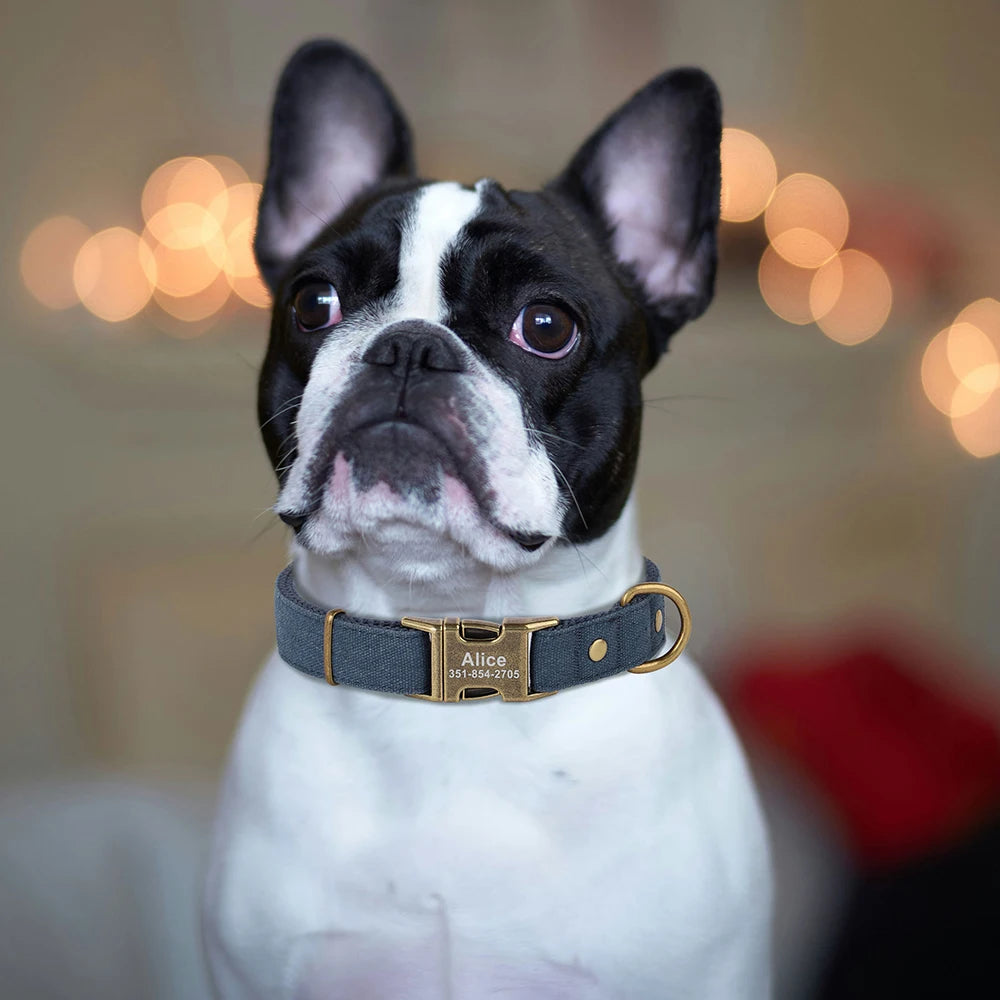 Nylon Gepersonaliseerde Halsband – Uniek en Stijlvol voor je Hond
