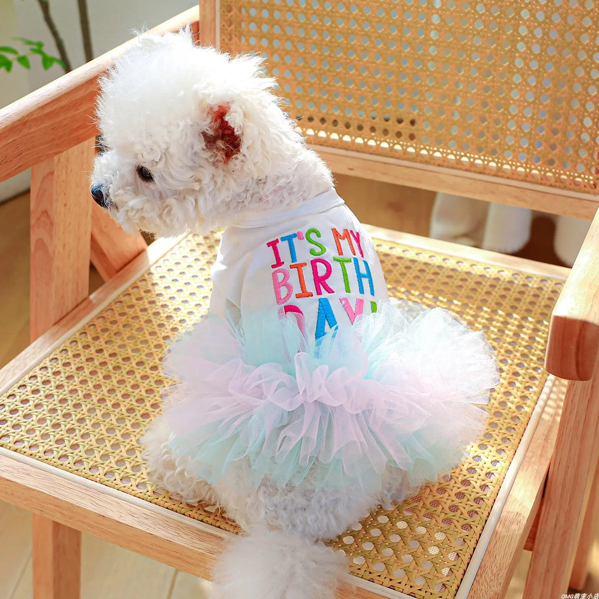 It's My Birthday Jurk