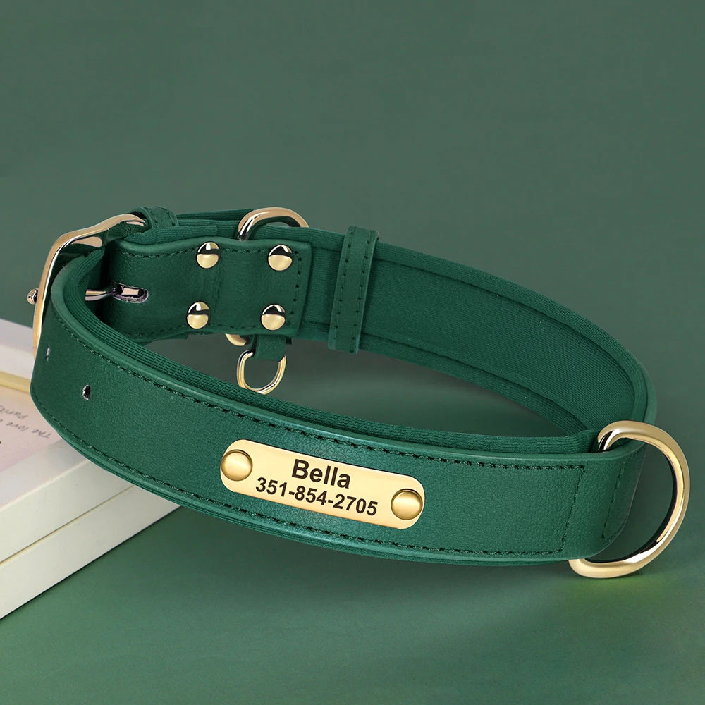 Personalisiertes Lederhalsband – Weich gepolstert für zusätzlichen Komfort