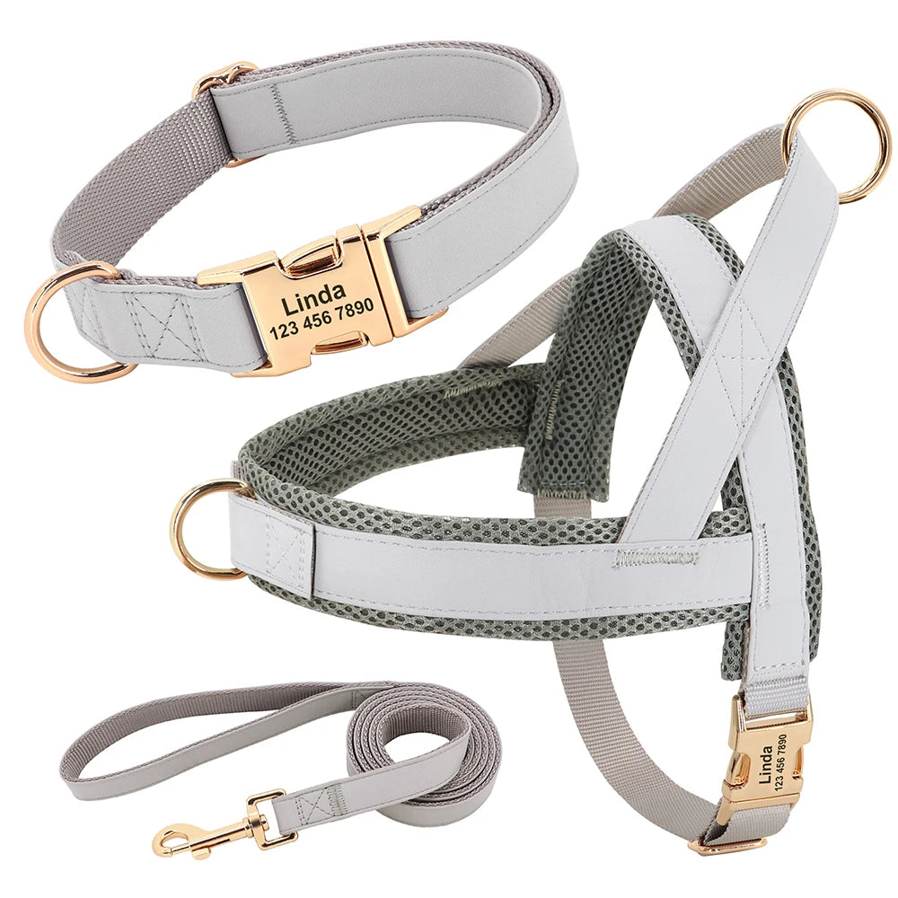 Honden Tuig & Lijn Set Gepersonaliseerd - Comfortabel & Verstelbaar