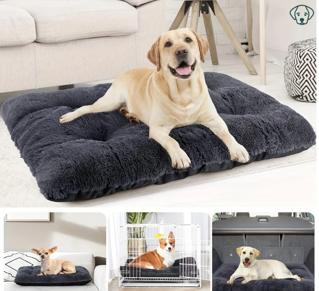 Teddy Honden Mat – Zacht, Warm en Comfortabel