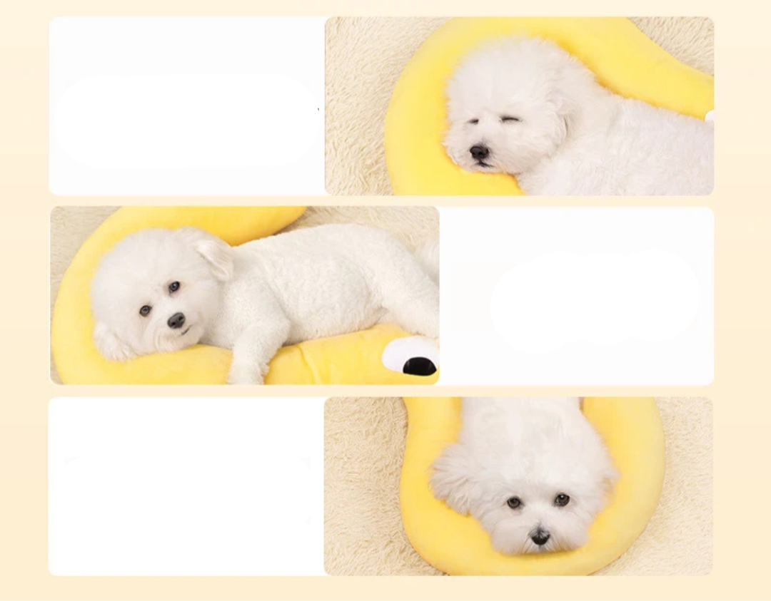 Question Mark Pillow – Die perfekte Nackenstütze für Ihr Haustier
