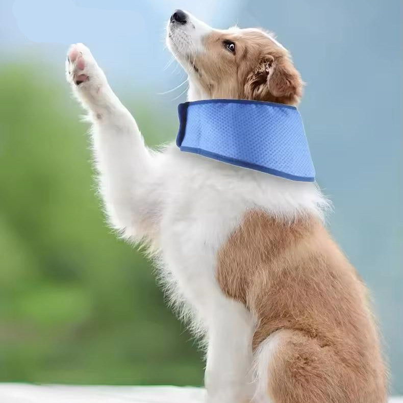 Verkoelende Sjaal – Verfrissing voor je Hond op Warme Dagen