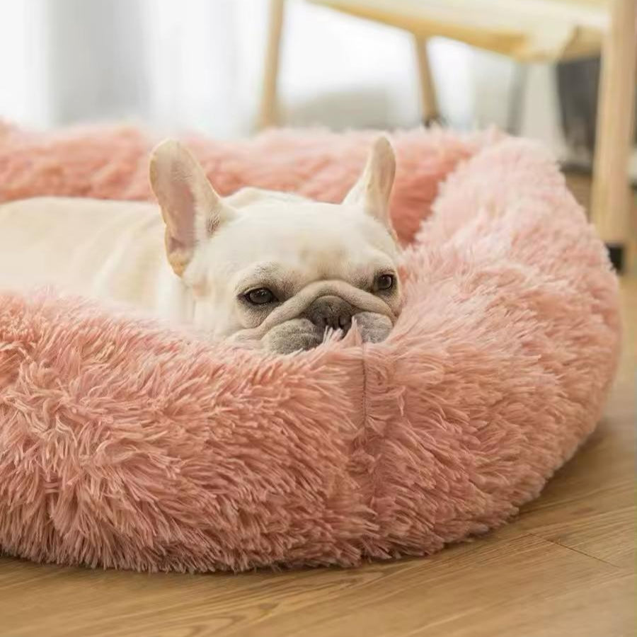 Superweiches quadratisches Hundebett – Komfort und Sicherheit für Ihren Hund