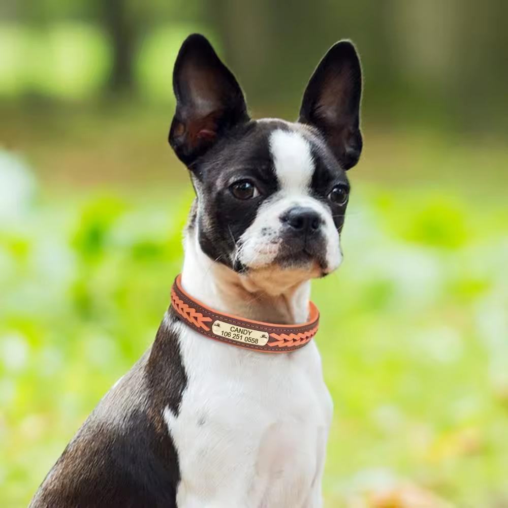Personalisiertes geflochtenes Halsband – elegant und bequem
