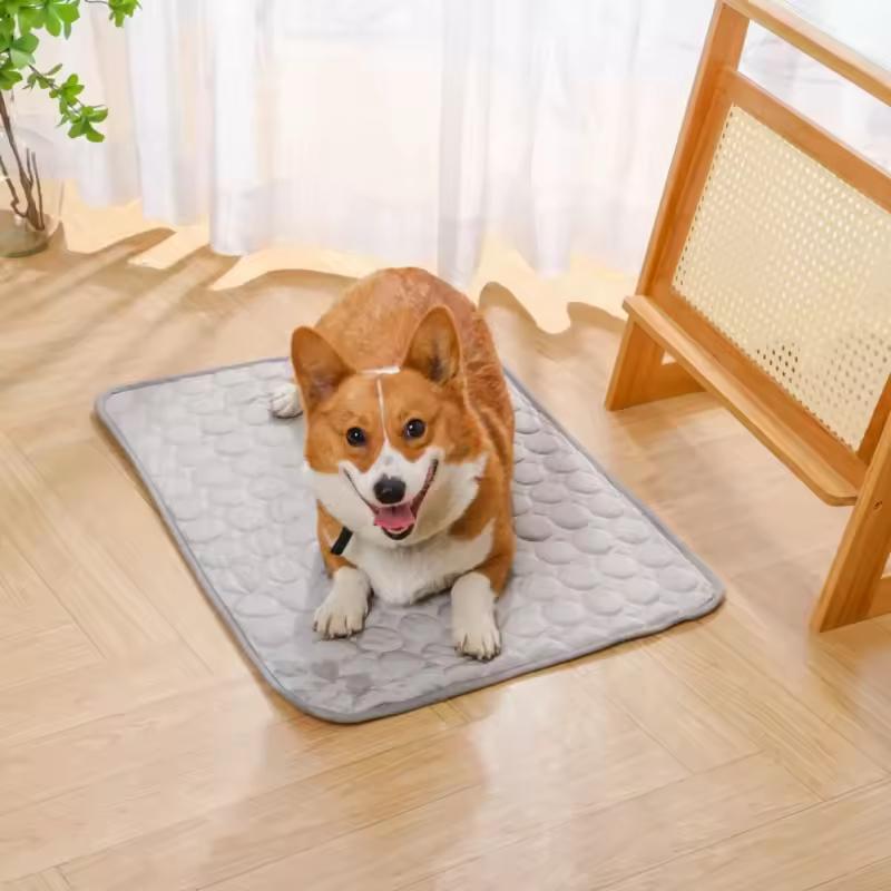 Kühlmatte für Hunde – Abkühlung an wärmeren Tagen