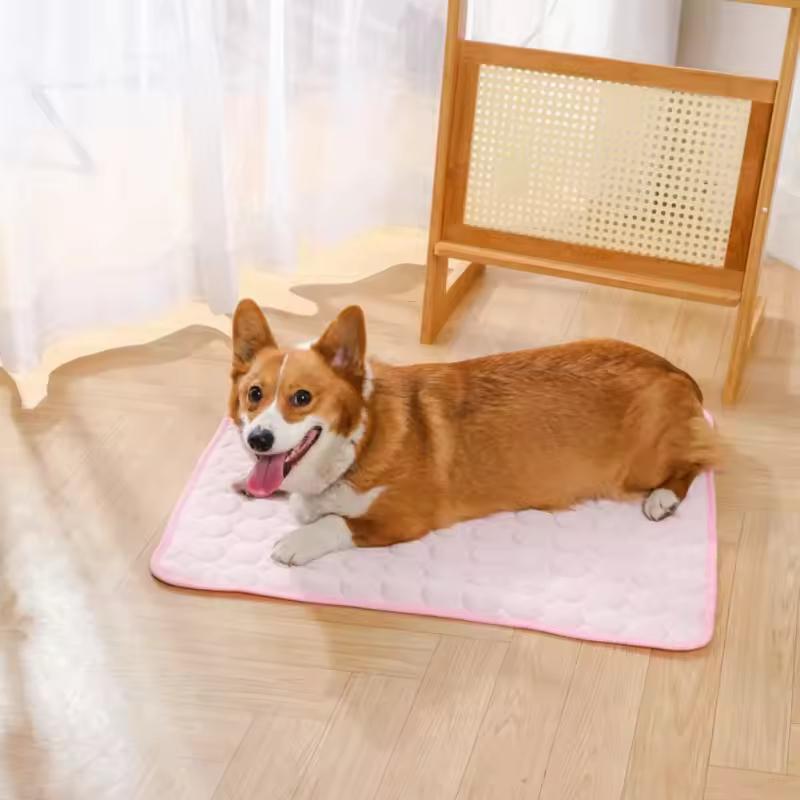 Kühlmatte für Hunde – Abkühlung an wärmeren Tagen