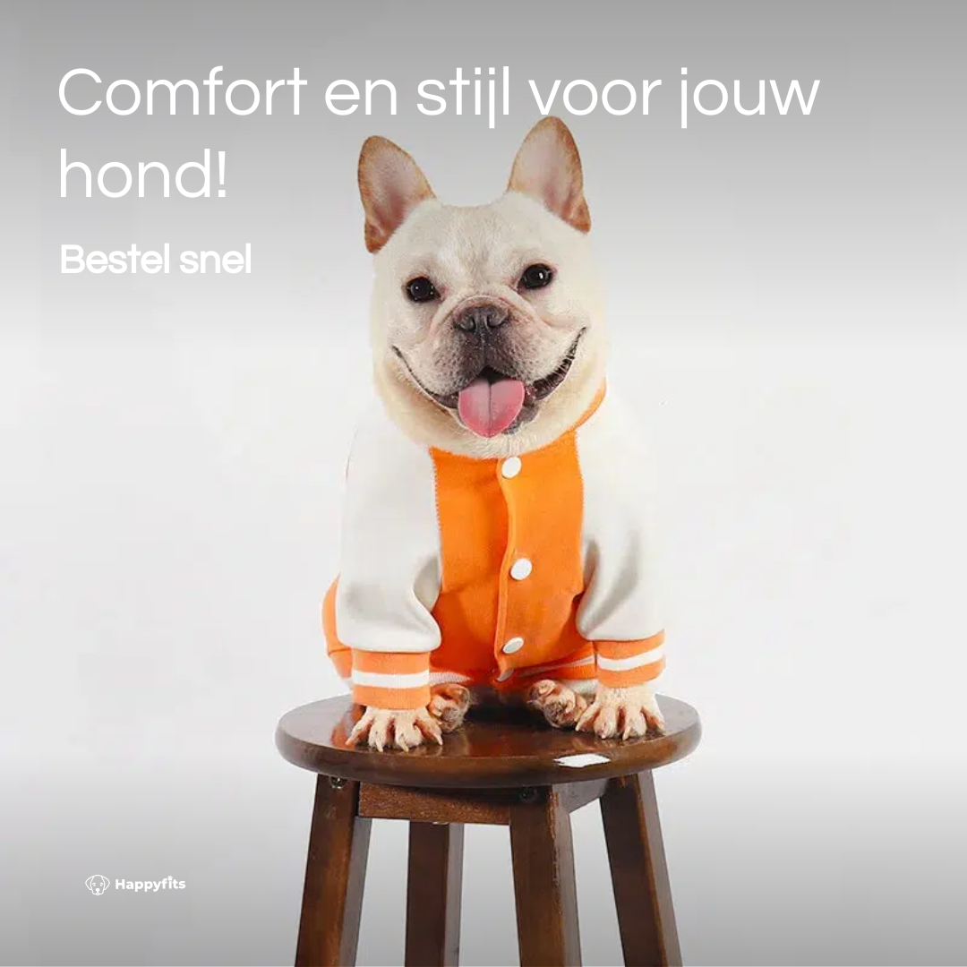 Oranje Honkbalvest