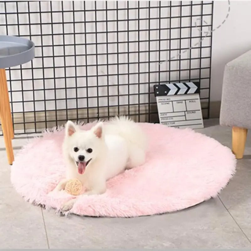 Runde, flauschige Plüschdecke – weich, warm und bequem für Ihren Hund