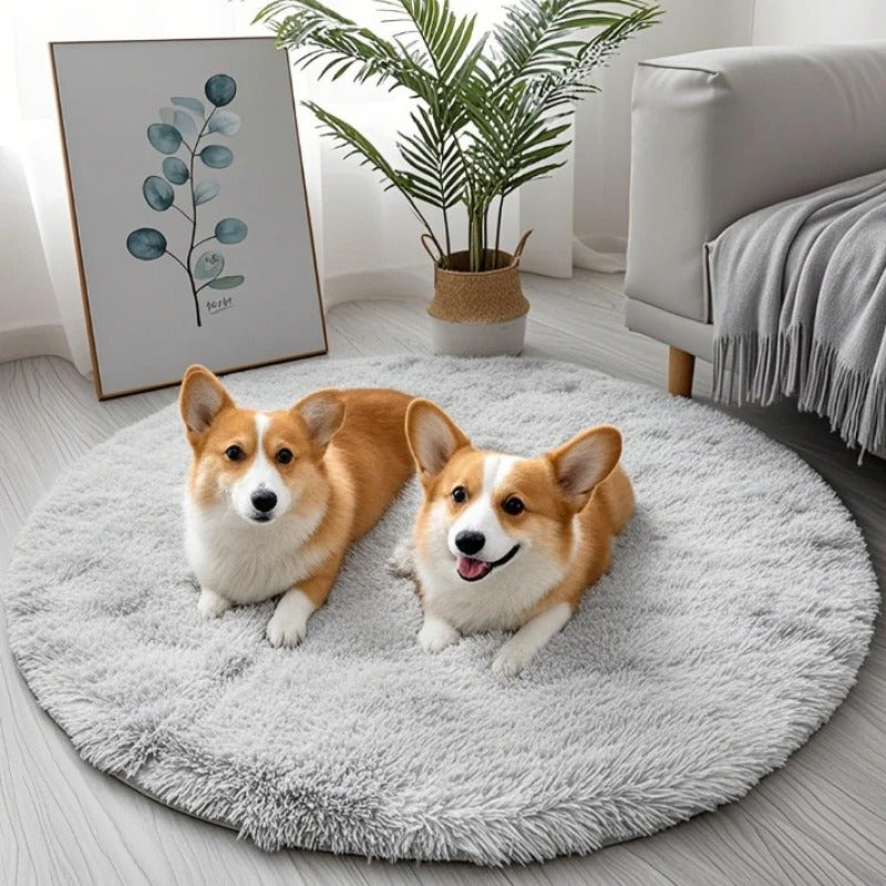 Runde, flauschige Plüschdecke – weich, warm und bequem für Ihren Hund