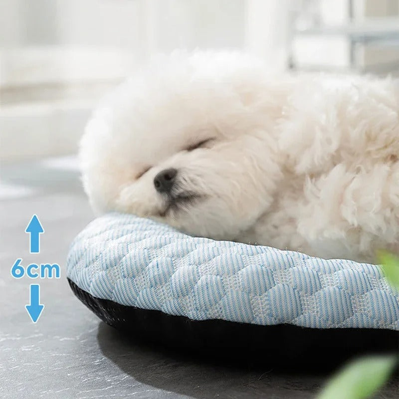 Cloud Cooling Mat – Abkühlung für Ihren Hund im Sommer