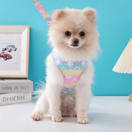 Hondentuig met Pootjes – Schattig & Comfortabel
