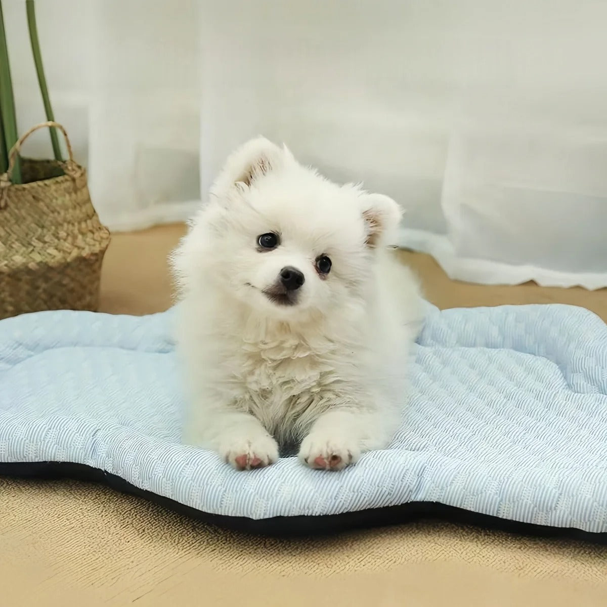 Cloud Cooling Mat – Abkühlung für Ihren Hund im Sommer