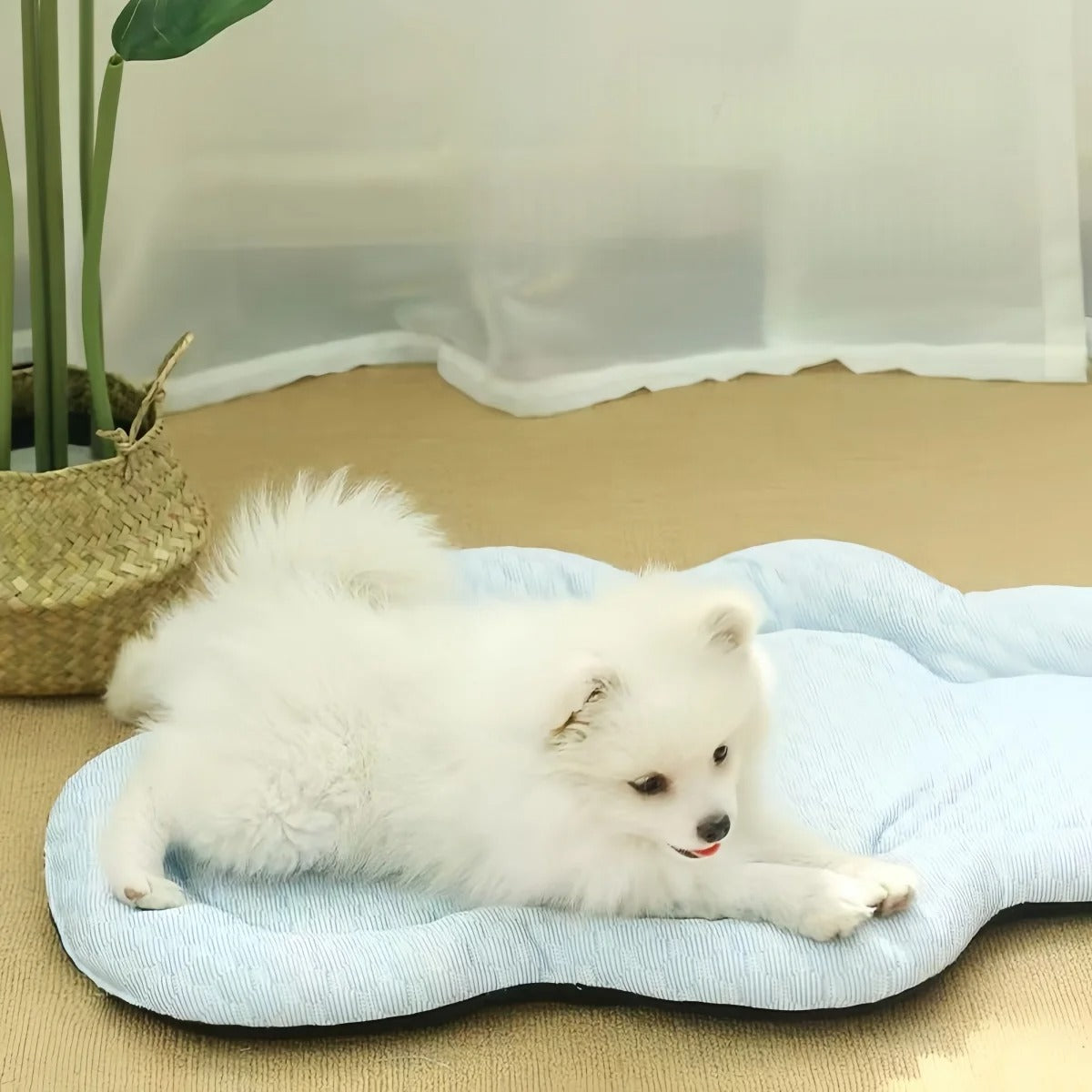 Cloud Cooling Mat – Abkühlung für Ihren Hund im Sommer