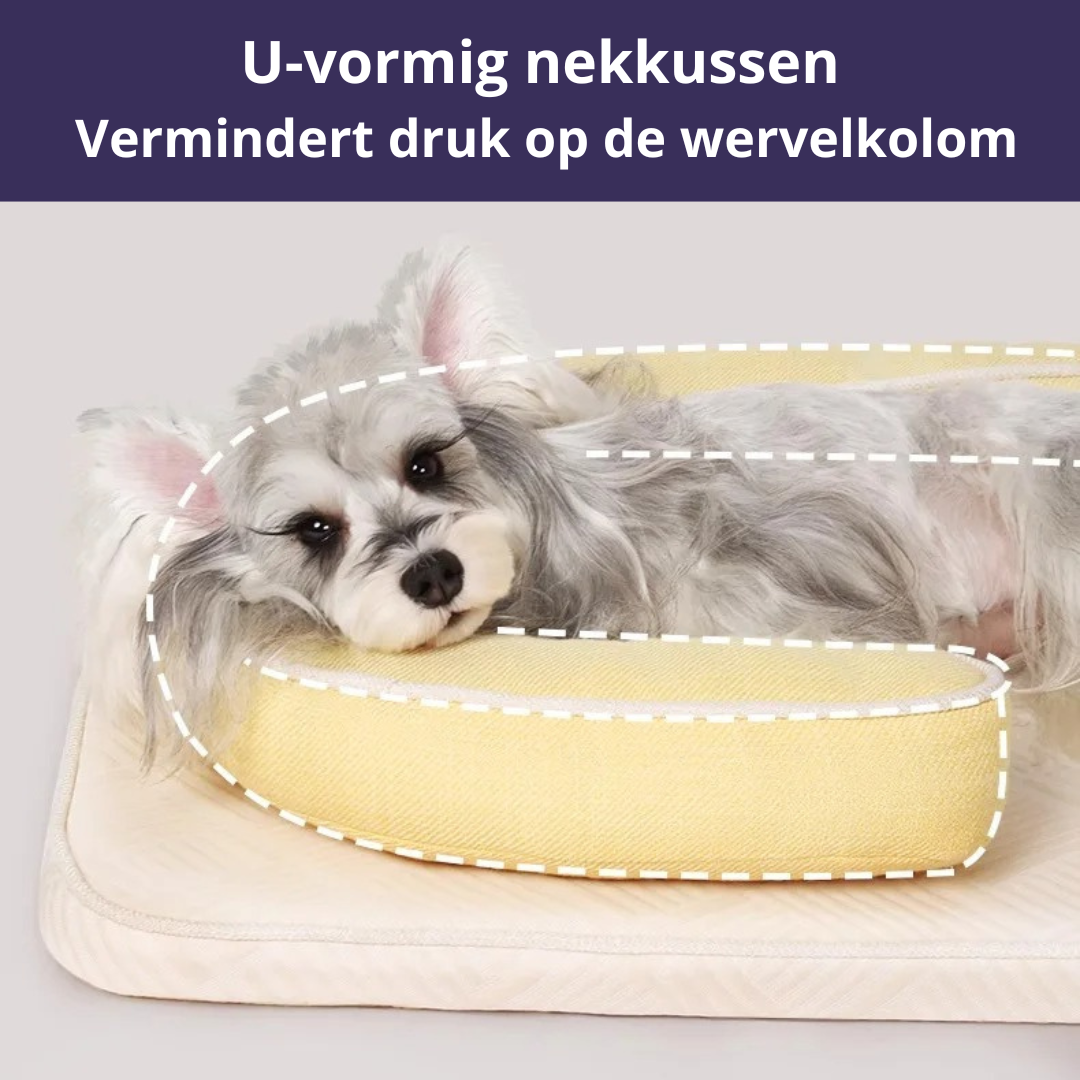 Hondenkussen 4-Seizoenen – Orthopedisch en Verkoelend Comfort