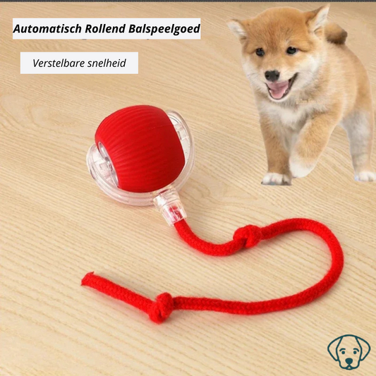 Automatisch Rollend Balspeelgoed voor Honden