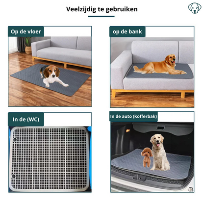 BuddyMat Wiederverwendbare Töpfchen-Trainingsmatte für Hunde – Langlebig und saugfähig (Leuchtende Farben)